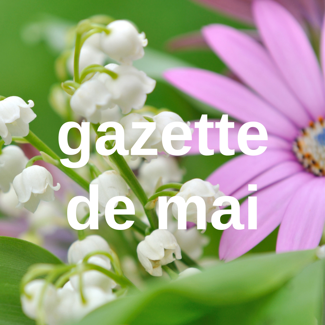 gazette mai 26