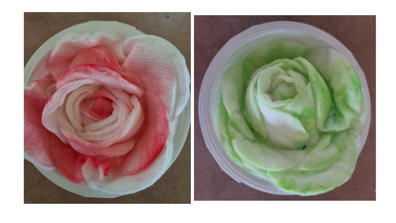 atelier_roses